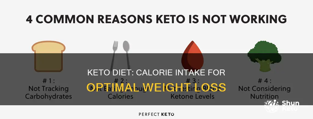 how many calories a day ketyo diet