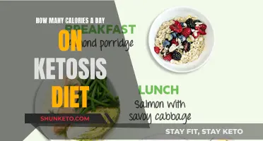 Calorie Counting on a Ketosis Diet: How Much is Enough?