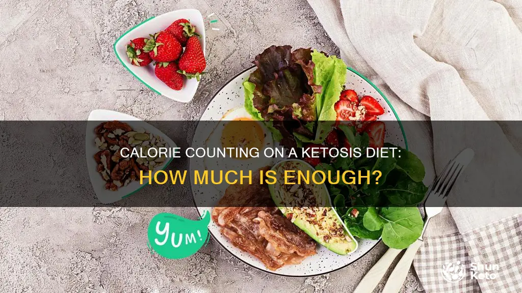 how many calories a day on ketosis diet