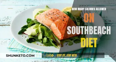 South Beach Diet: Calorie Limits and Tips for Success