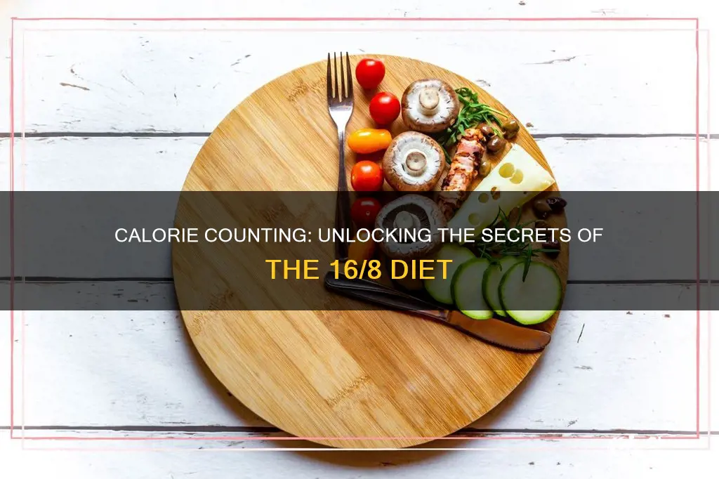 how many calories are allowed in 16 8 diet