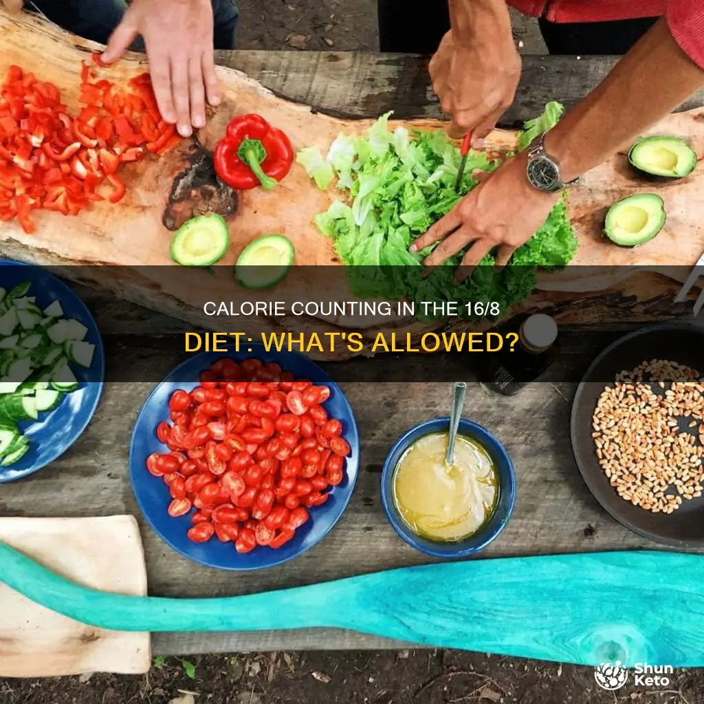 how many calories are allowed in 16 8 diet