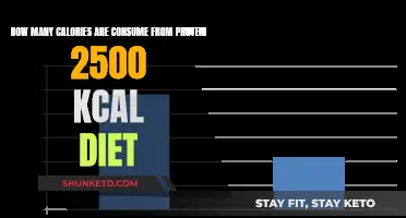 Protein Power: Calorie Breakdown of a 2500-Kcal Diet