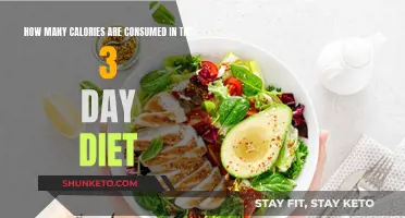 Calorie Count: 3-Day Diet's Energy Breakdown