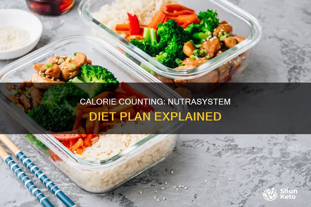 how many calories are daily on nutra system diet plan