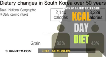 Calorie Counting: 2400 Kcal Day Diet Explained