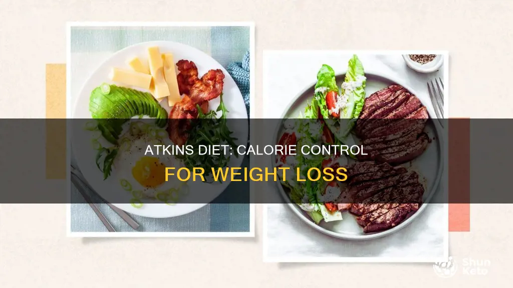 how many calories atkins diet