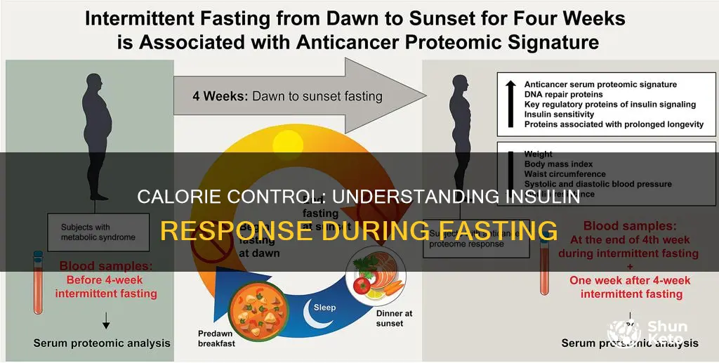 how many calories before insulin kicks in diet fasting