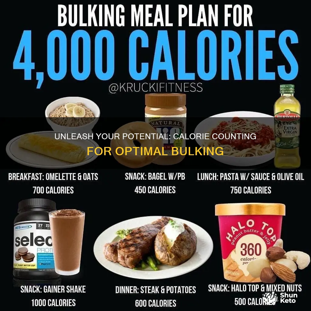 how many calories bulking diet