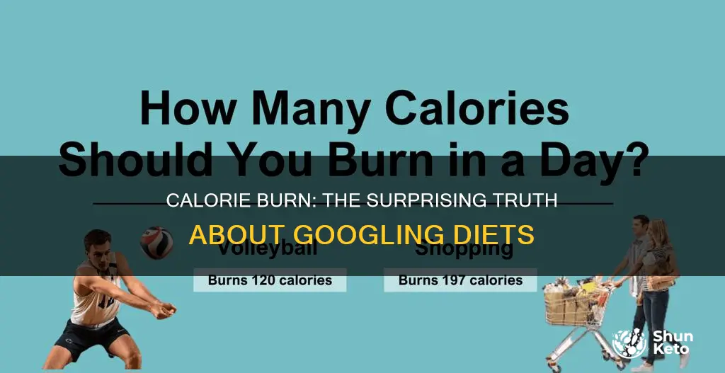 how many calories burned googling diets