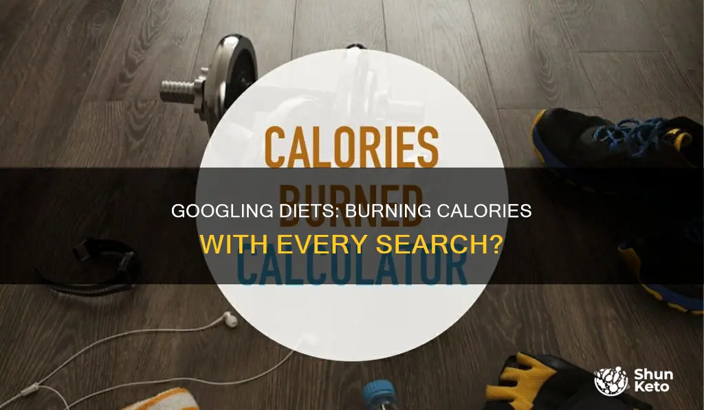 how many calories burned googling diets