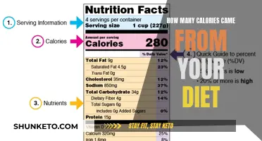 Uncover the Hidden Calories: Tracking Your Diet's Energy Impact