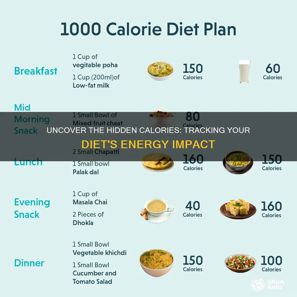 how many calories came from your diet