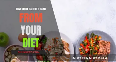 Calorie Counting: Dietary Energy Intake Explained