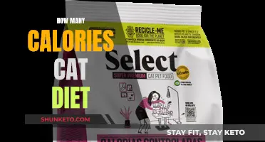 Calorie Counting for Cats: A Balanced Diet Guide