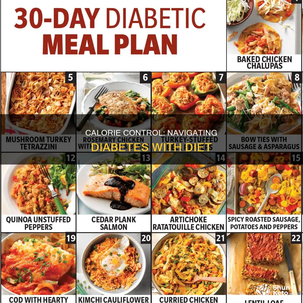 how many calories diabetic diet