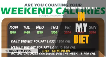 Calorie Counting: How Much Energy Do I Need?