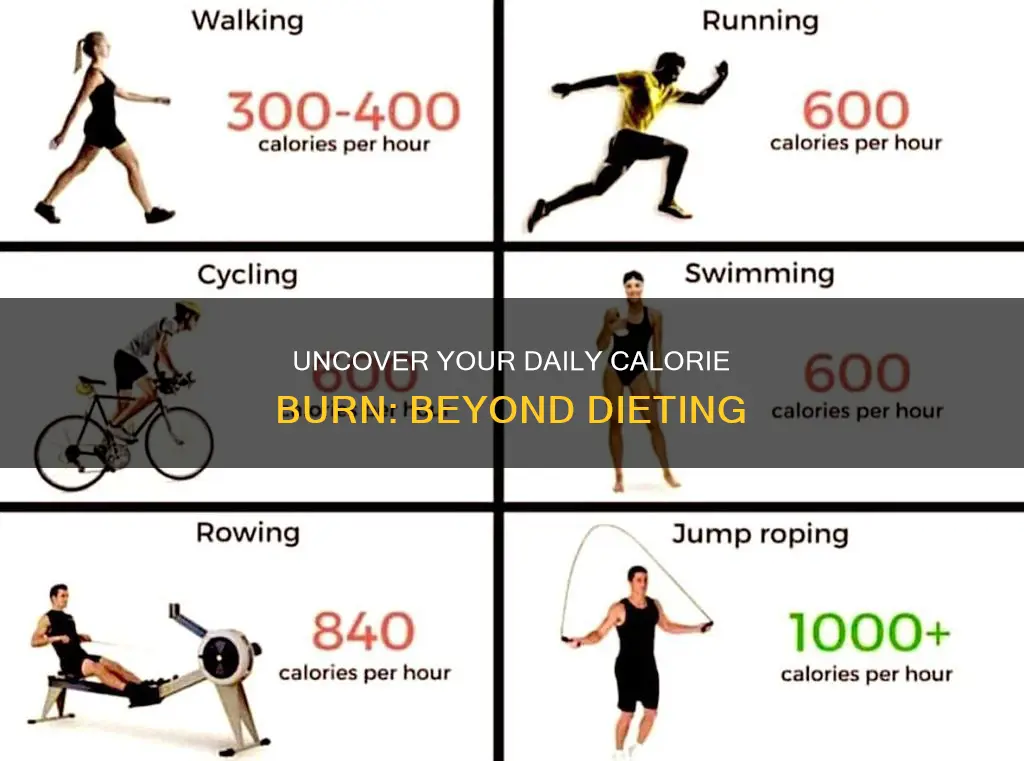 how many calories do i need to burn without diet