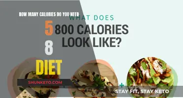 Calorie Needs: Unlocking the Secrets of a 5'8" Diet