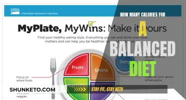 Calorie Counting: Finding the Perfect Balance for Your Diet