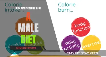 Tailoring Calorie Intake: A Guide for Male Diet Plans