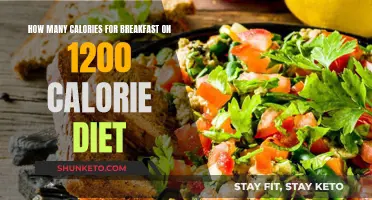 Calorie-Counting Breakfast: 1200-Calorie Diet Edition