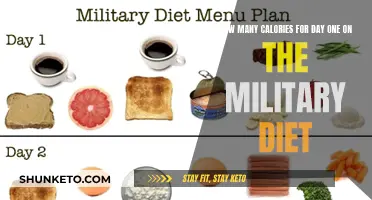 Military Diet Day 1: Calorie Breakdown and Tips