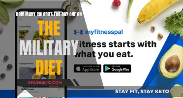 Calorie Counting: Military Diet's First Day