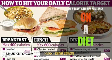 Lunch Calorie Count: Dieting Strategies for Balanced Meals