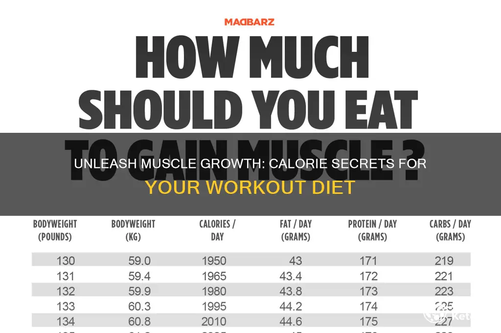 how many calories for workout muscle building diet