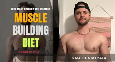 Muscle-Building Diet: Calorie Counting for Workout Results