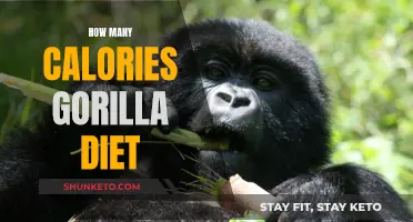 Uncover the Calorie Count: A Gorilla's Diet Mystery