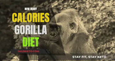 Gorilla Diet: What's the Caloric Intake Like?