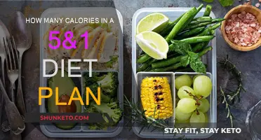 Calorie Counting: 5&1 Diet Plan Explained