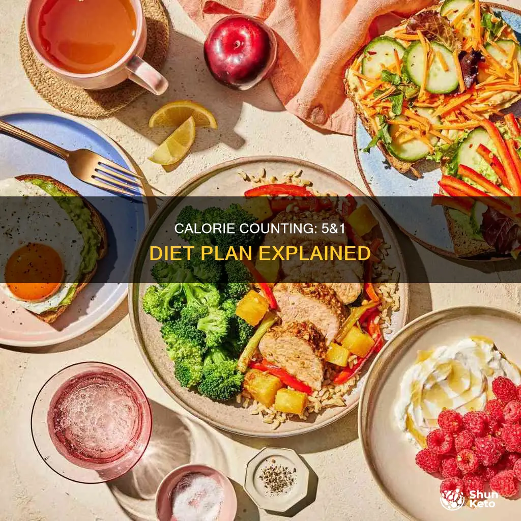 how many calories in a 5&1 diet plan