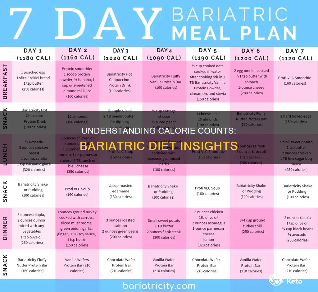 how many calories in a bariatric diet