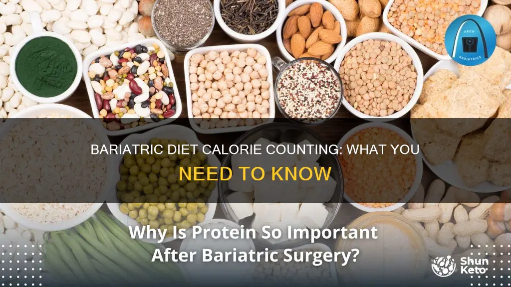 how many calories in a bariatric diet