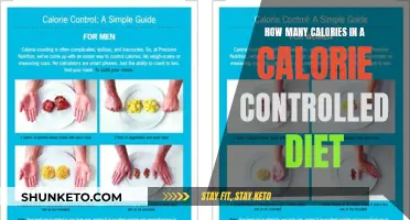 Calorie Control: Understanding Your Daily Intake