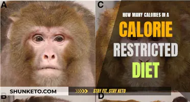 Calorie-Restricted Diets: Counting Every Calorie Counts