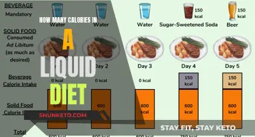 Calorie Count: Navigating the Liquid Diet's Energy Landscape