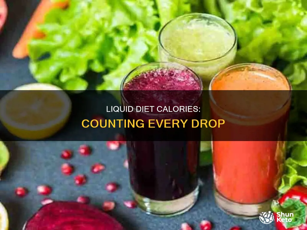 how many calories in a liquid diet