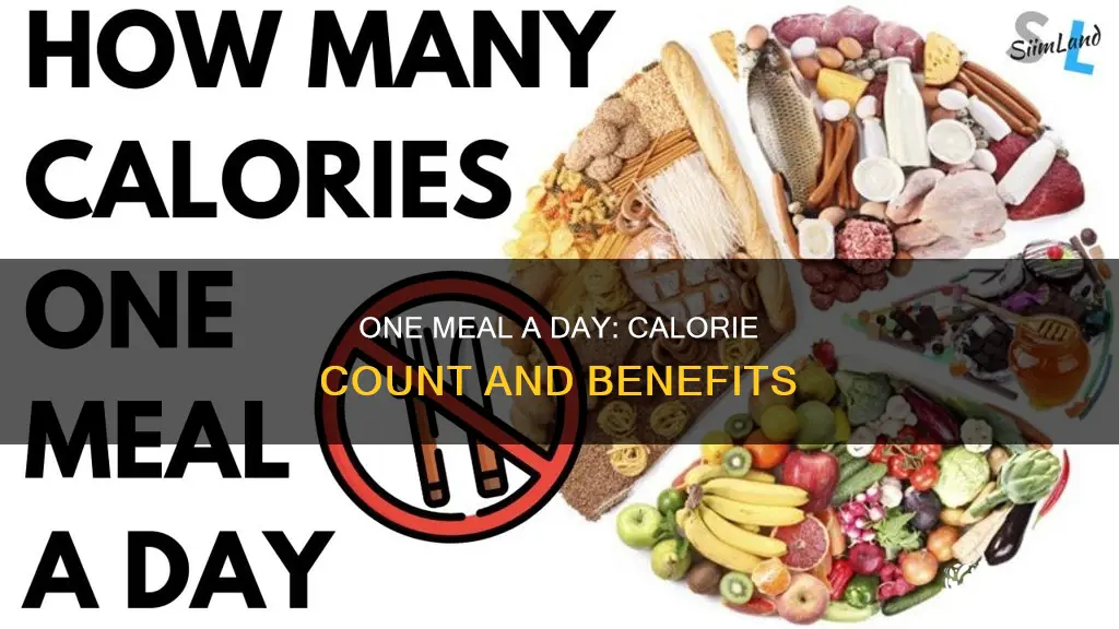 how many calories in a one meal a day diet