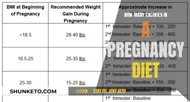 Nutrition for Expecting Moms: Calorie Count and Healthy Eating Guide