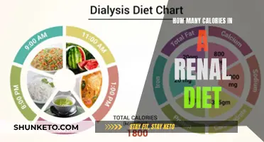 Understanding Calorie Counts: A Guide to Renal Diet Portions