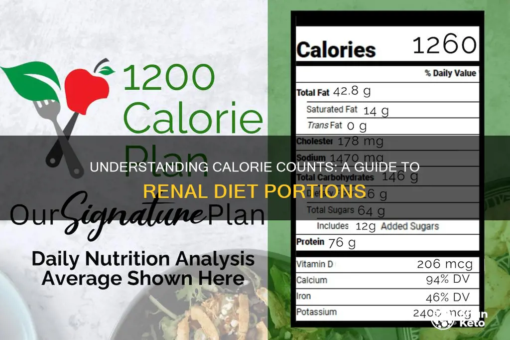 how many calories in a renal diet