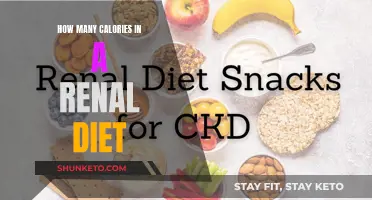 Renal Diet Calorie Counting: What You Need to Know