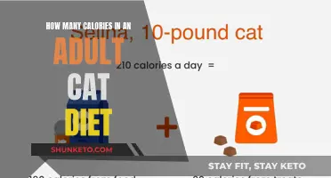 Feline Nutrition: Calorie Count for Adult Cats