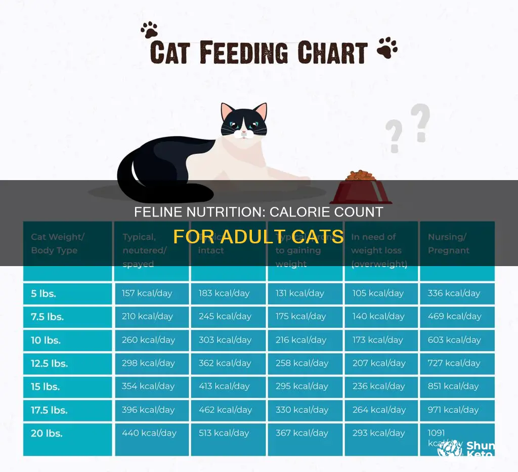 how many calories in an adult cat diet