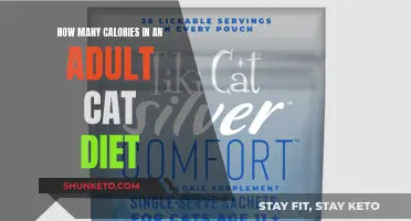 Adult Cat Diet: Calorie Counting for Feline Health