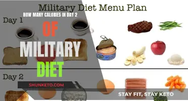 Military Diet Day 2: Calorie Count and Meal Plan